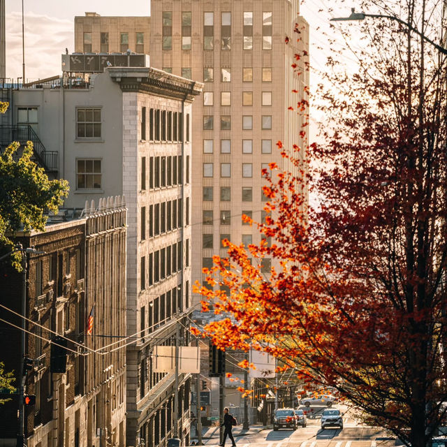 Pioneer Square: Where History Meets Modern Seattle