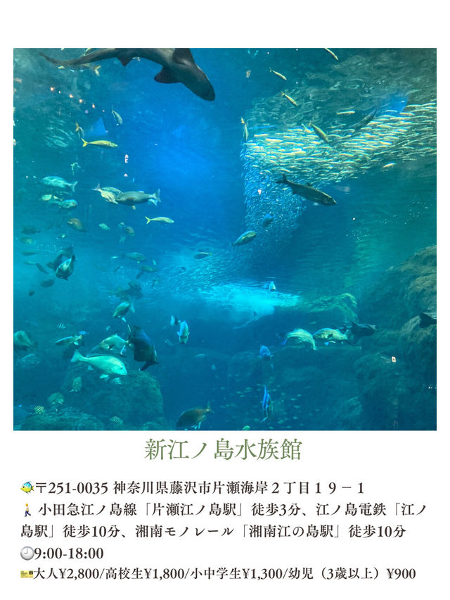 夏休みまだ間に合う！首都圏から日帰りで行ける動物園・水族館