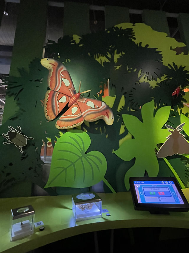 🇭🇰 Palaentology Gallery in Hong Kong Science Museum  🇭🇰 Palaentology Gallery in Hong Kong Science Museum