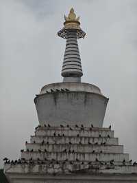 🛕 Milariba Monastery: A Towering Tribute to Tibetan Spirituality in Gannan