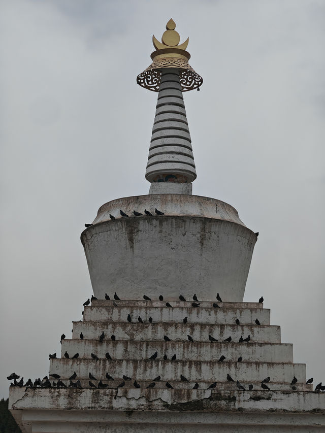 🛕 Milariba Monastery: A Towering Tribute to Tibetan Spirituality in Gannan