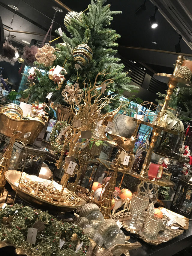 秋の横浜でコスモス＆おしゃれ散歩🌸✨