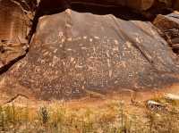 Messages in Stone: A Solo Journey to Newspaper Rock 🪨