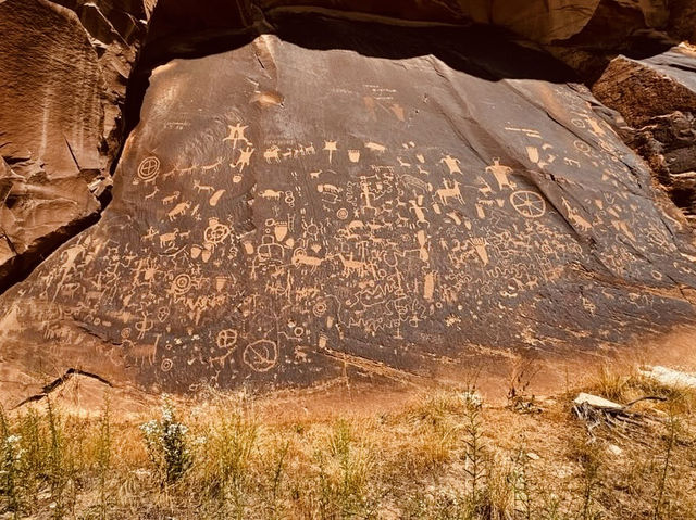 Messages in Stone: A Solo Journey to Newspaper Rock 🪨