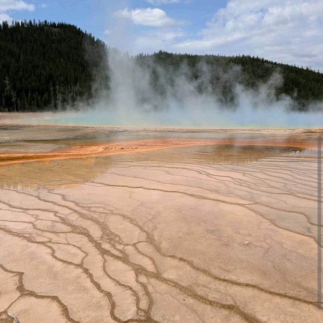 Yellowstone National Park (WY, MT, ID)