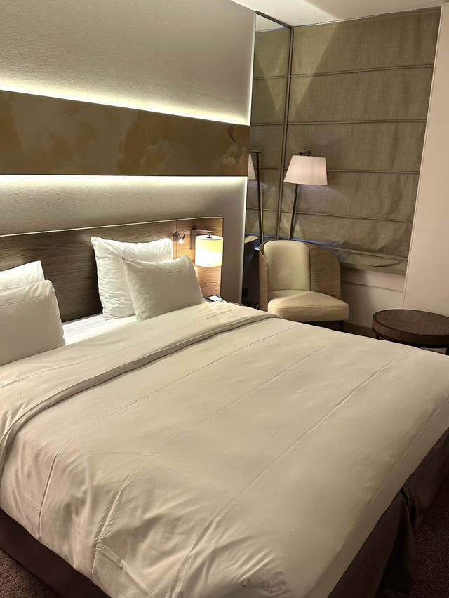 Radisson Blu Hotel Lyon – Panoramic Modern Comfort Above the City