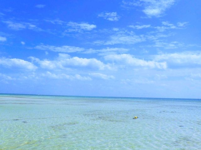 小浜島と西表島で海満喫旅