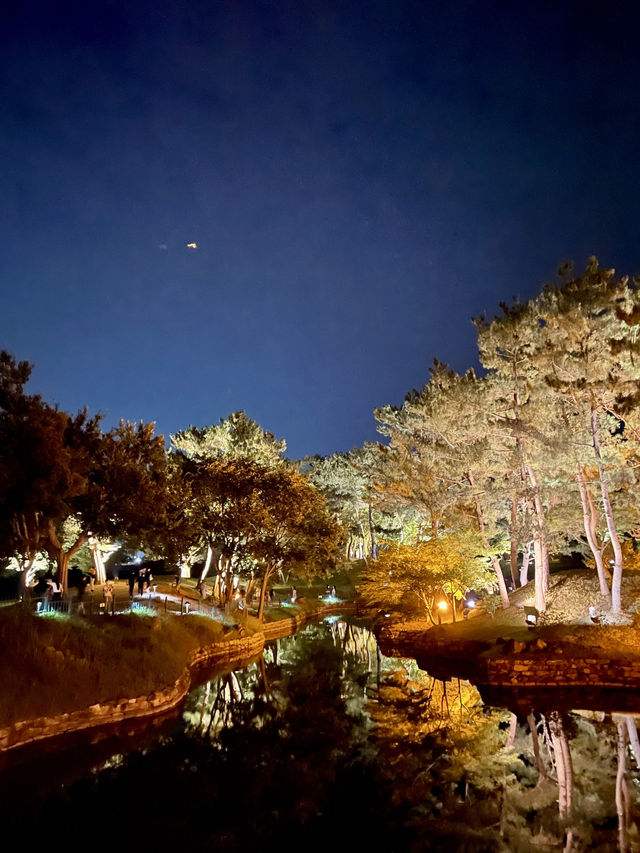 양산에서 만나는 자연과 역사, 임경대 & 통도사 여행기🌿⛩️