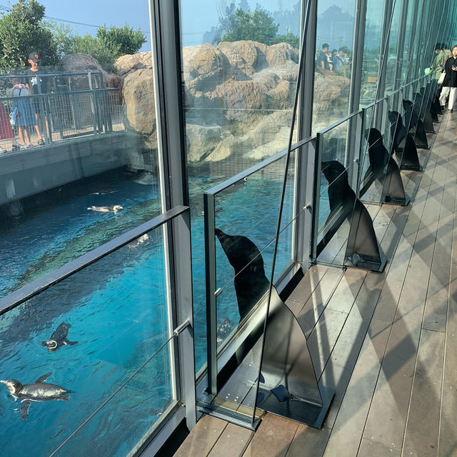 長岡花火の翌日に寄り道！癒しのうみがたり水族館❤️