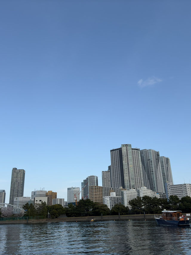 東京｜舊濱離宮庭園｜東京櫻花名所｜海濱古庭的春日花韻