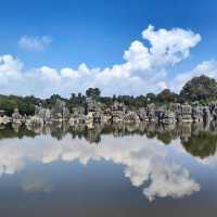 Nature’s Masterpiece at Stone Forest
