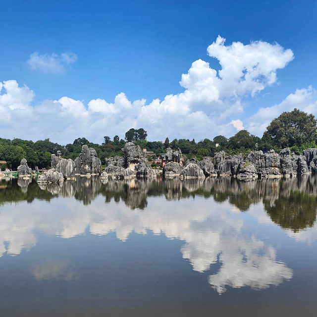 Nature’s Masterpiece at Stone Forest