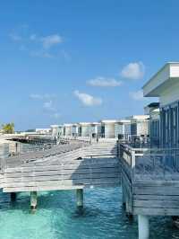 Amilla Maldives Resort & Residences🌴🇲🇻✨