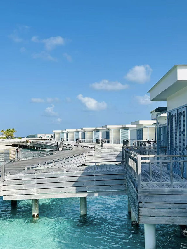 Amilla Maldives Resort & Residences🌴🇲🇻✨