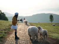 อาข่า ฟาร์มวิลล์ ( Akha FarmVille)