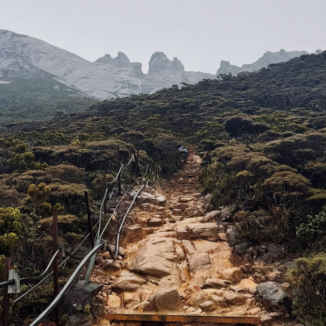 Tracking Mount Kinabalu Tracking Mount Kinabalu