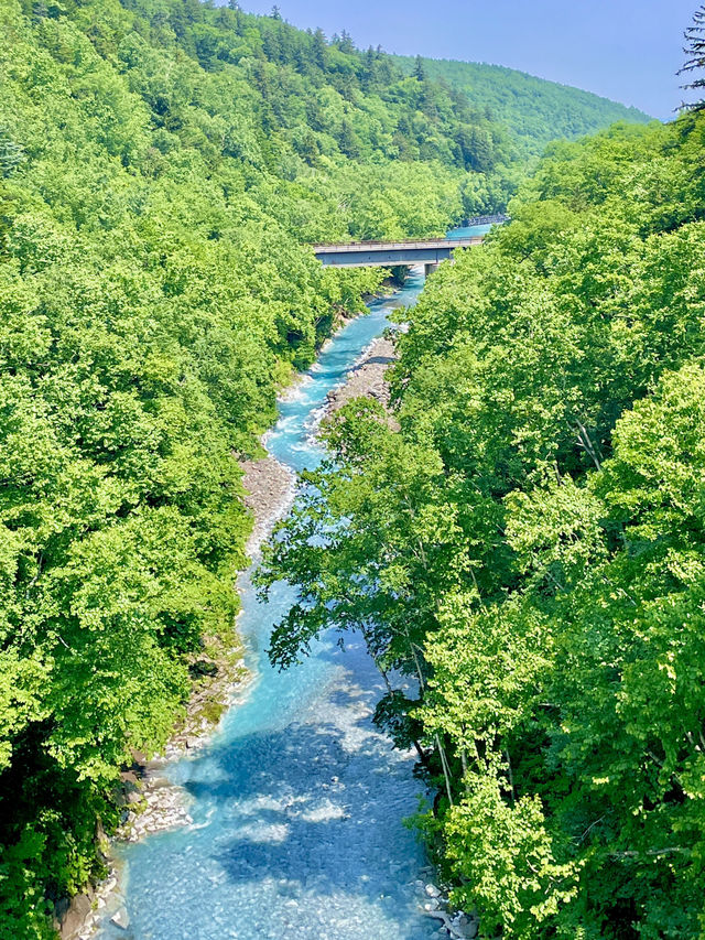 🌿 홋카이도 비에이 & 주변 여행 감성 🏞️💙