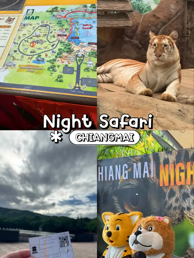 Visit the adorable animals at Night Safari and meet Eva.