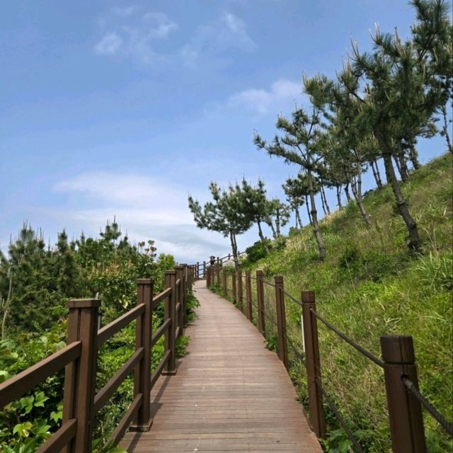 🍃 바람의언덕, 거제 여행의 필수 코스