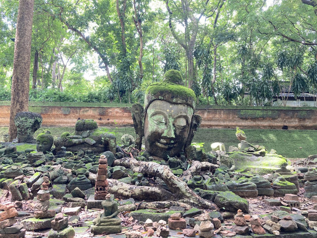 เที่ยว “วัดอุโมงค์” ฟิลฤดูฝน เขียวชื่นใจ  เที่ยว “วัดอุโมงค์” ฟิลฤดูฝน เขียวชื่นใจ