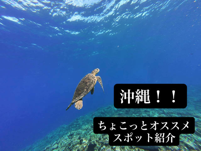 沖縄 オススメスポット! 沖縄 オススメスポット!