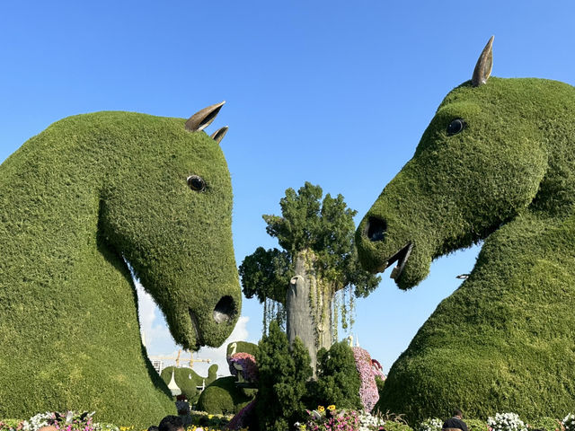 🌸💕 Step Into a Floral Fantasy at Dubai Miracle Garden