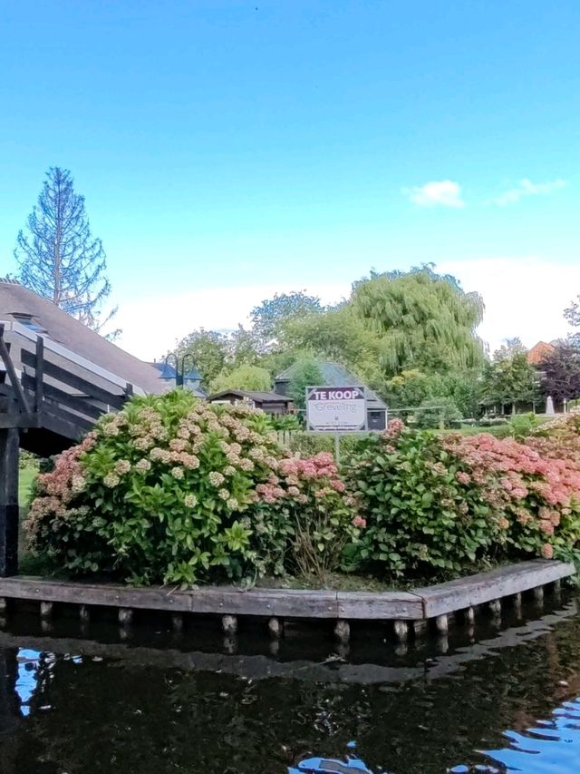 Late Summer Blooms in Giethoorn