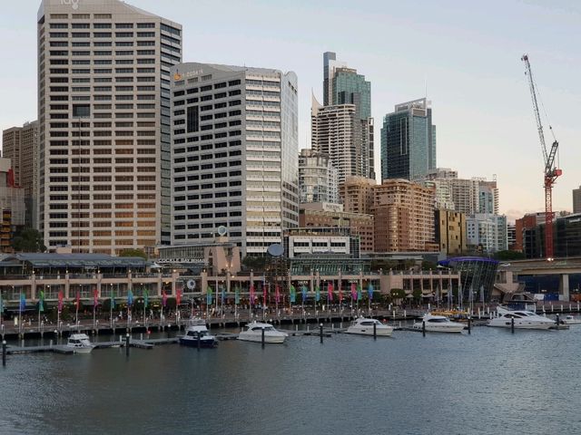 From Opera House Views to Golden Beaches — Discovering Sydney