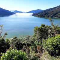 Cullen Point Lookout – Pelorus & Mahau Sound Panorama