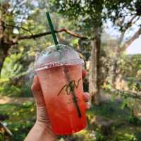 ชมคาเฟ่ - Chom Cafe & Restaurant Chiangmai🌿