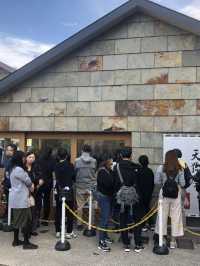 🚡高尾山一日遊：纜車體驗×登山散策×美食享受