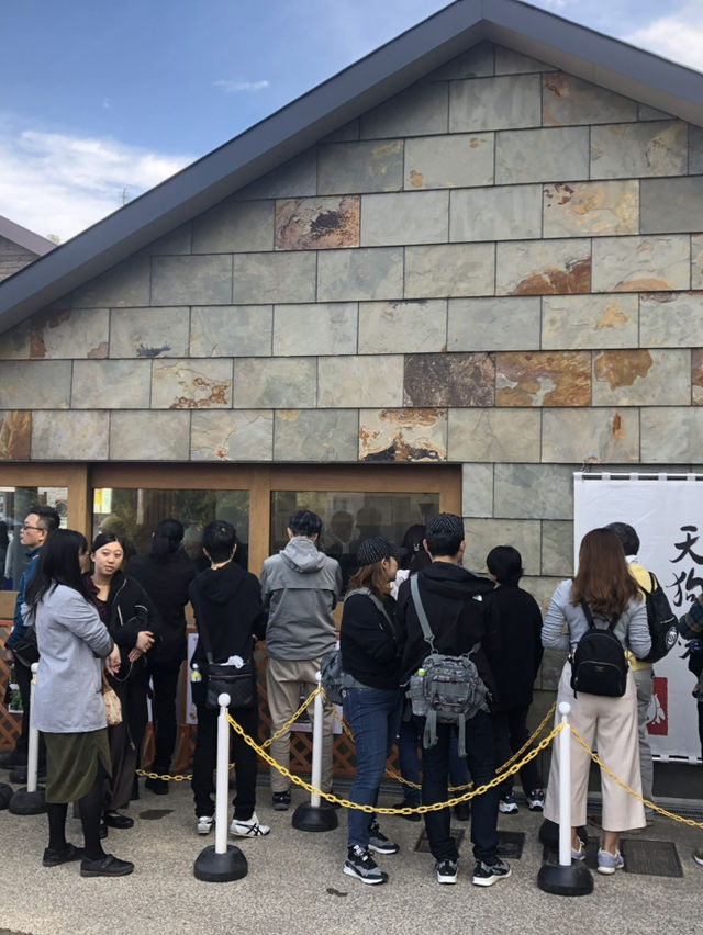 🚡高尾山一日遊：纜車體驗×登山散策×美食享受
