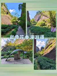 武夷山4日3夜悠閒遊。