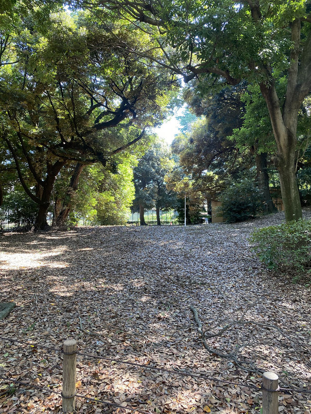 【東京都上野🇯🇵東京国立博物館　庭園】歴史に触れながらのんびり散歩☺️