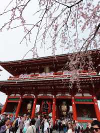 淺草寺（せんそうじ）