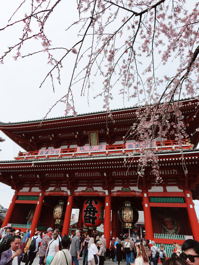 淺草寺（せんそうじ）