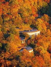 🍁✨ Nikko – The “Autumn Leaf Paradise” of Tochigi ✨🍂