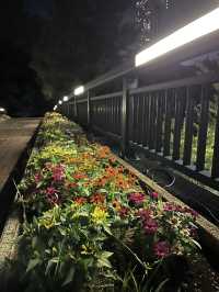 Discover Makuhari: Peaceful Green Escape