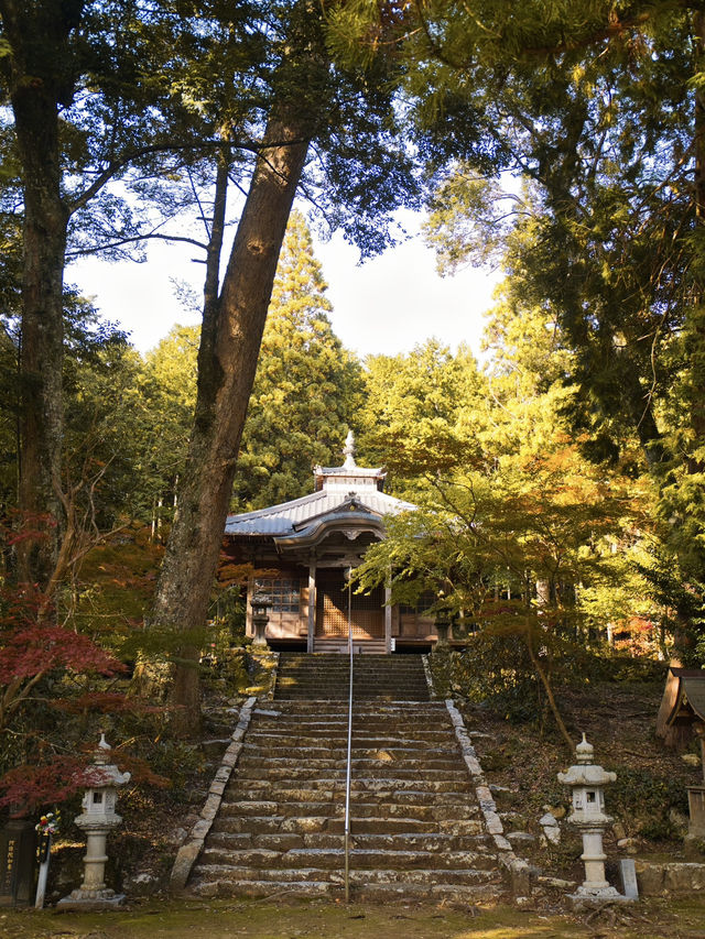 【旅行前に見て】観光攻略付‼️藤の花だけじゃない!💜🍁✨古刹を彩る美しい紅葉の庭園を楽しむ静寂の旅へ🙏 【旅行前に見て】観光攻略付‼️藤の花だけじゃない!💜🍁✨古刹を彩る美しい紅葉の庭園を楽しむ静寂の旅へ🙏