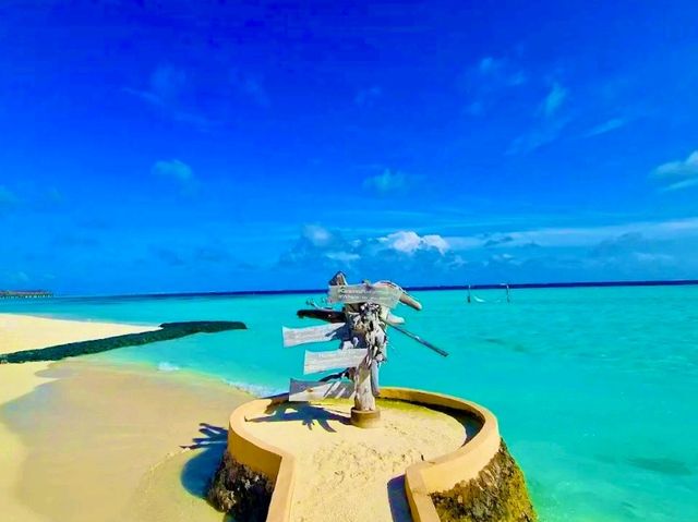 Constance Moofushi — The Art of All-Inclusive Perfection