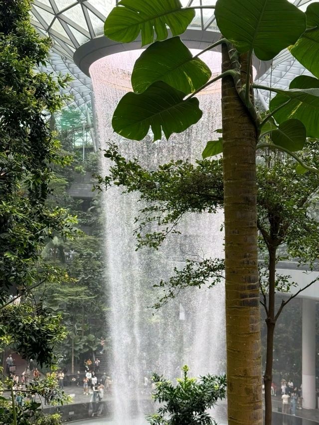 Marina Bay Magic✨ Marina Bay Magic✨