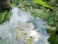 Pure Blue: New Zealand's Blue Spring