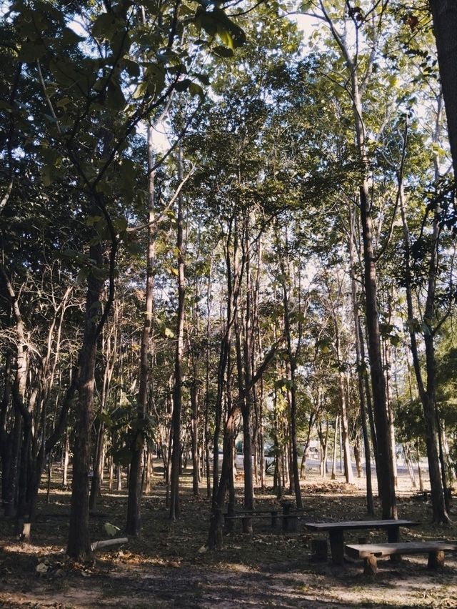 @อุดรธานี🏕ภูฝอยลม น้ำตกธารงาม