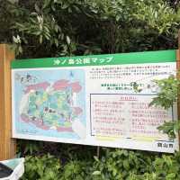 【千葉/館山🇯🇵】歩いて渡れる奇跡の無人島🌊沖ノ島