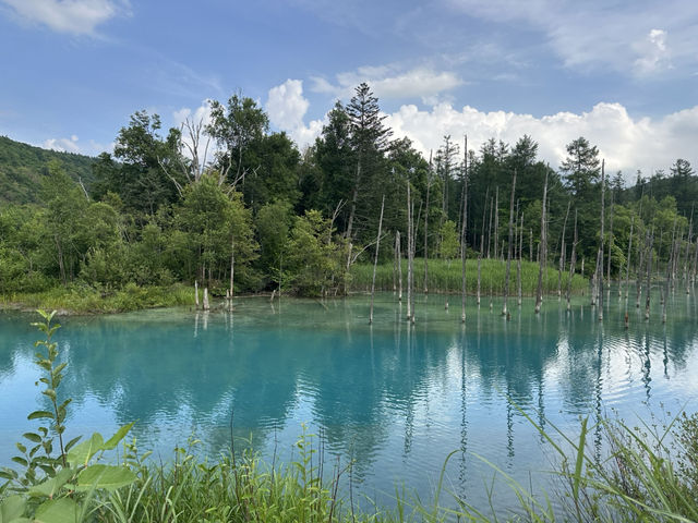 北海道—青池