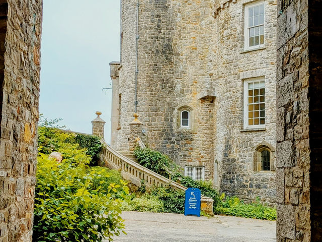 Bloom & Stillness: A Solo Escape to Picton Castle Gardens