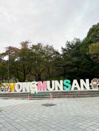 용문산 공원의 풍경