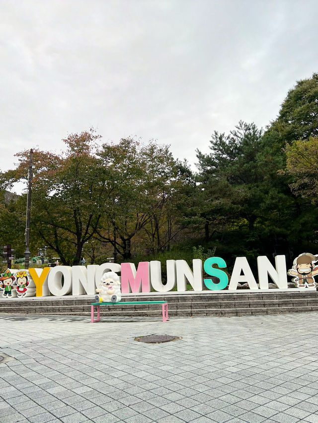 용문산 공원의 풍경