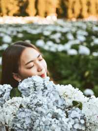 💐 บ้านขุนแปะ – หมู่บ้านกลางขุนเขา ที่มีหมอก ดอกไม้