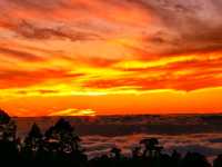 🌋 Teide National Park – The Majestic Heart of Tenerife